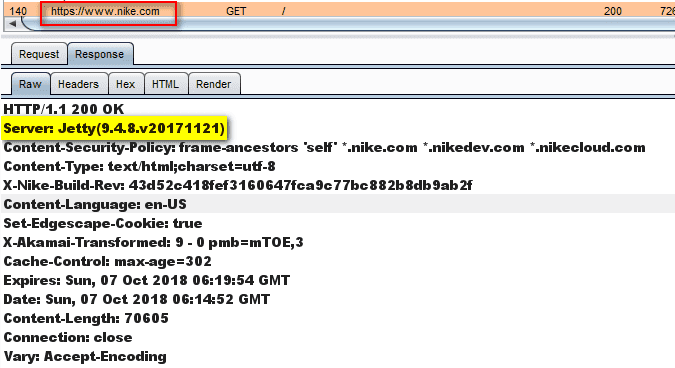 webserver Jetty on Nike&#039;s page