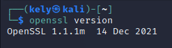 OpenSSL version on Linux